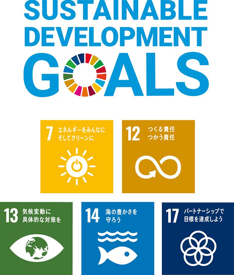 SDGs